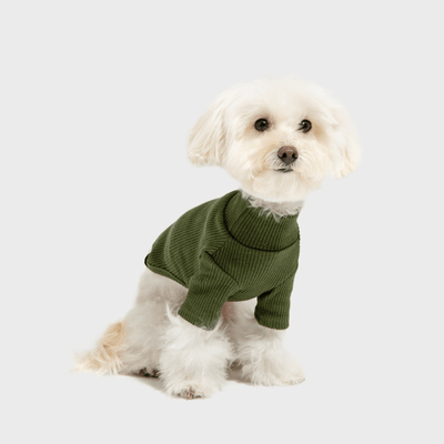 Ribbed Turtleneck Shirt - Olive Green Clothing Small Stuff