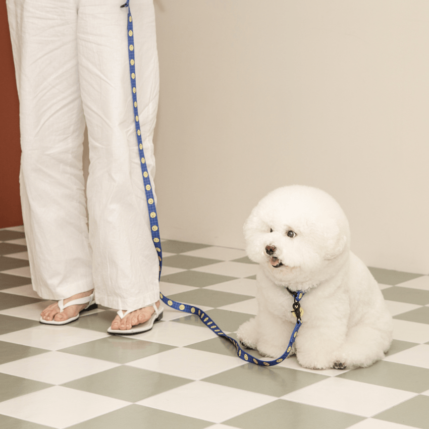 Smiley Face Dog Leash - Blue Leash Andblank