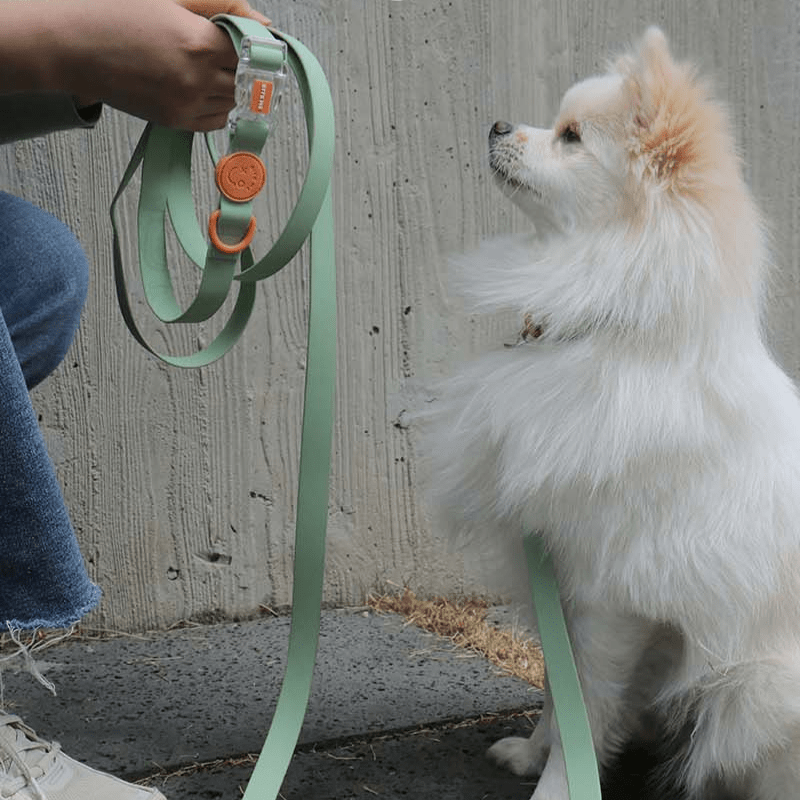 Macaron Waterproof Collar and Leash Set (4 Colors) Collar Bite Me