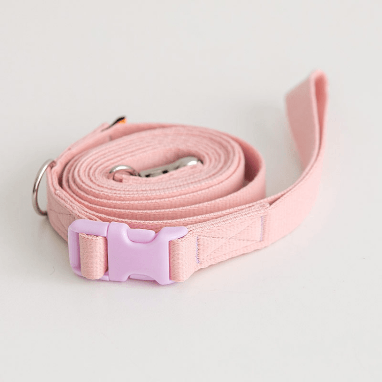 Candy Crayon Leash - Light Pink