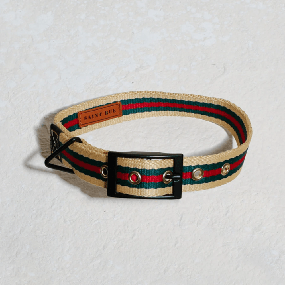 Le Classic Collar - Rue St Jacques