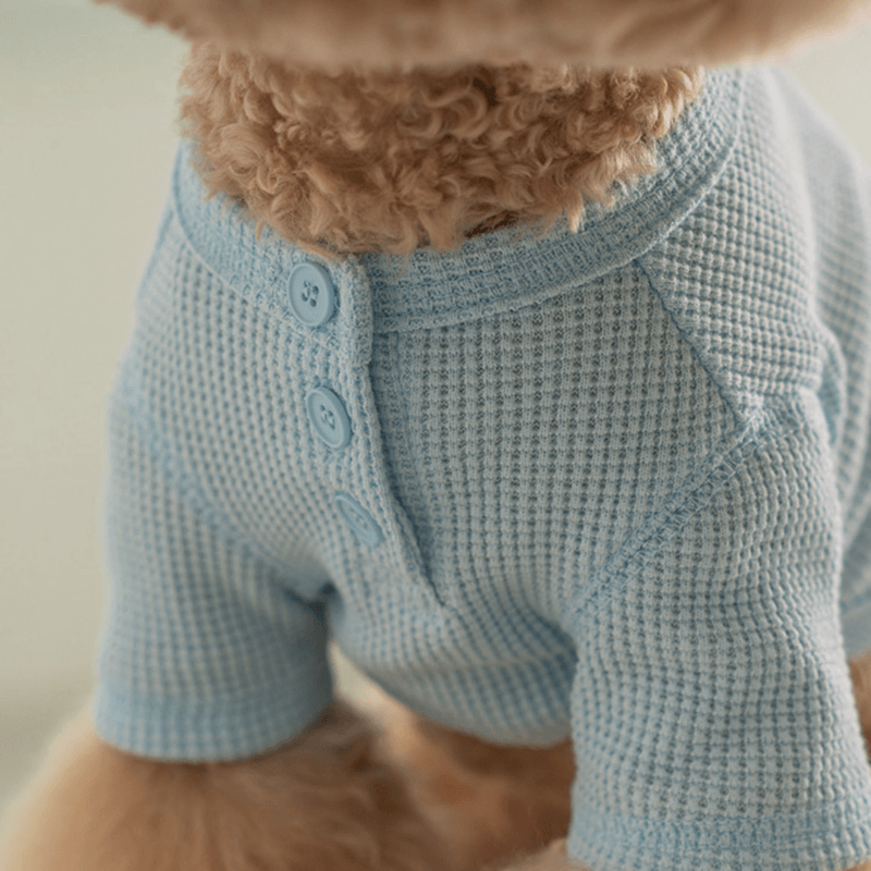 Waffle Crop Tee - Sky Blue Clothing Dentists Appointment