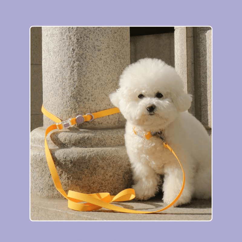 Macaron Waterproof Collar and Leash Set (4 Colors) Collar Bite Me