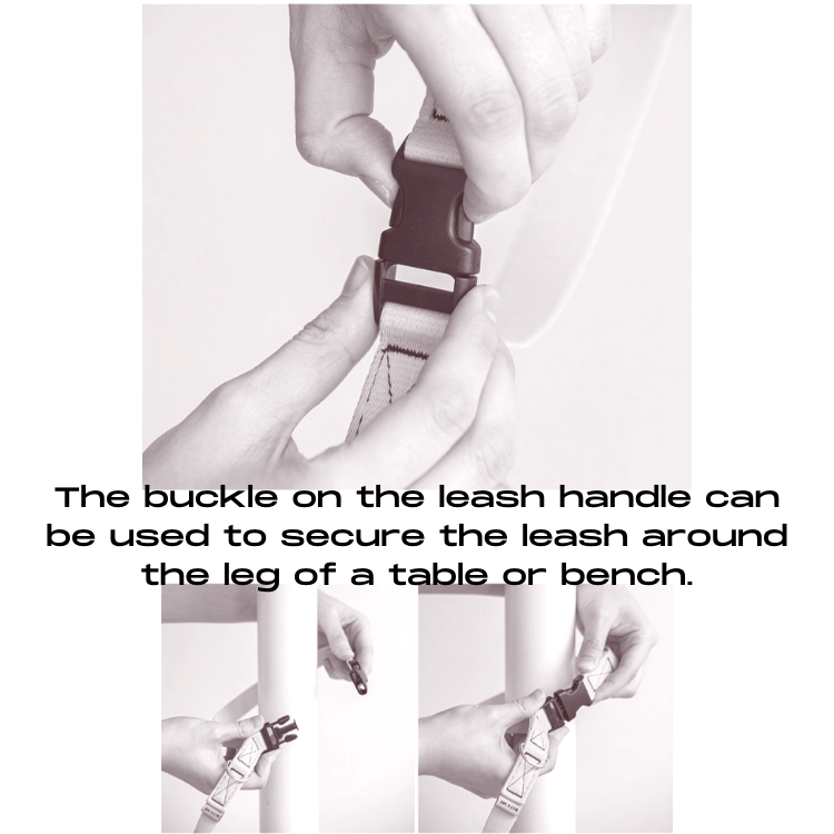 Candy Crayon Leash - Orange Leash Bite Me