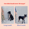 Infinity Leash - Black Leash Awoo