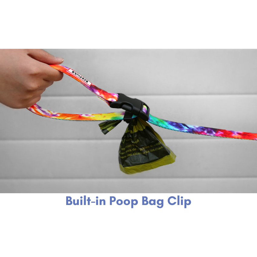 Rover Leash Leash Charlie's Backyard