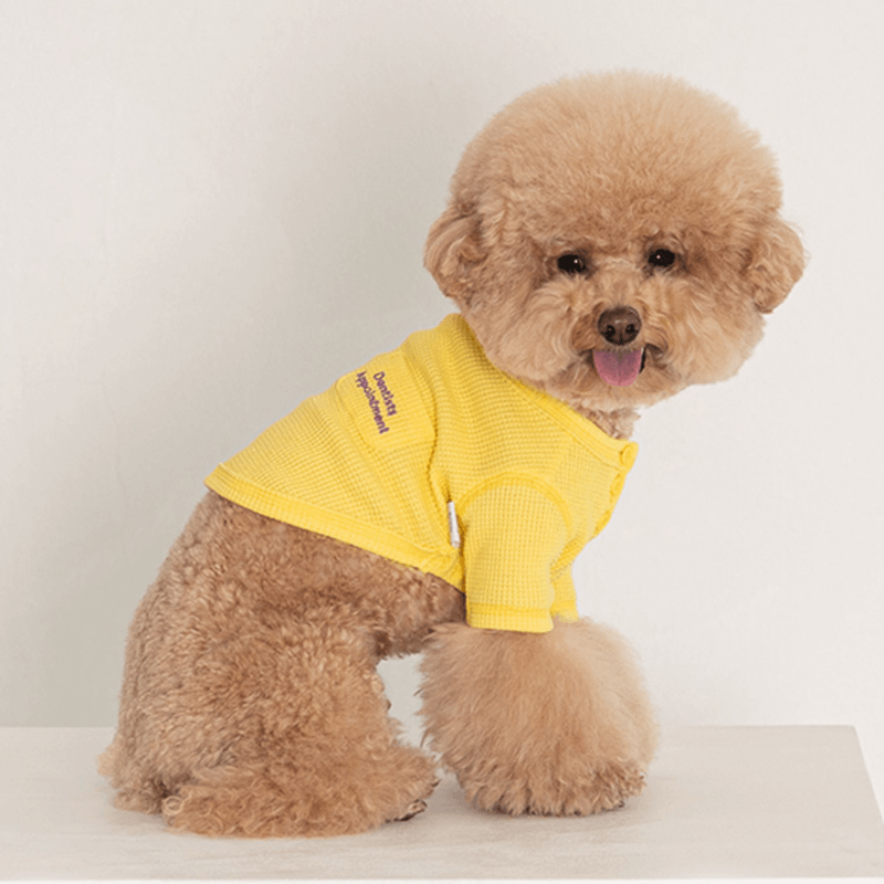 Waffle Crop Tee - Yellow Clothing Dentists Appointment