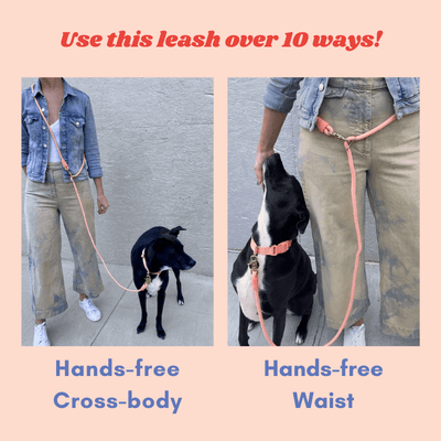 Infinity Leash - Spice Leash Awoo