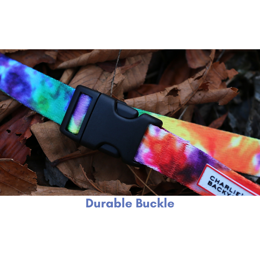 Rover Leash Leash Charlie's Backyard