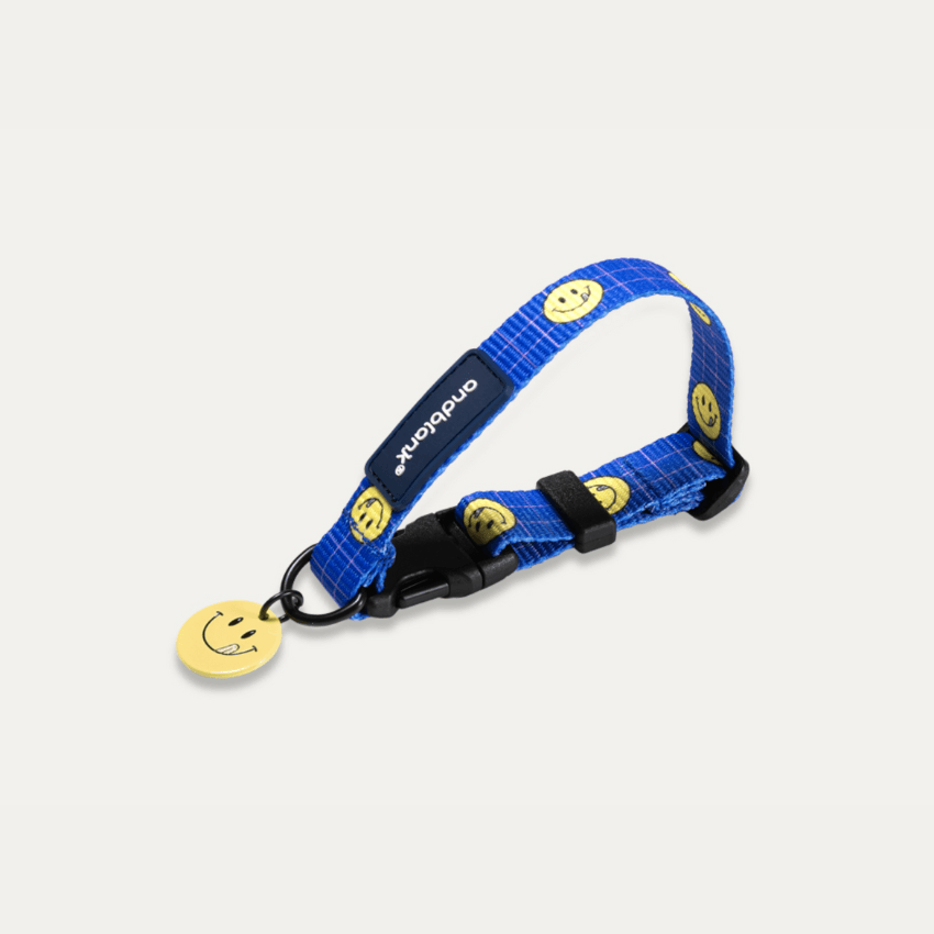 Smiley Face Dog Collar - Blue Collar Andblank