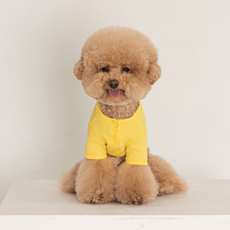 Waffle Crop Tee - Yellow Clothing Dentists Appointment