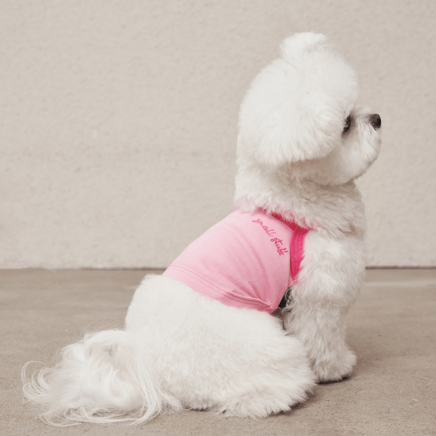 Airy Sleeveless Top - Pink Clothing Small Stuff