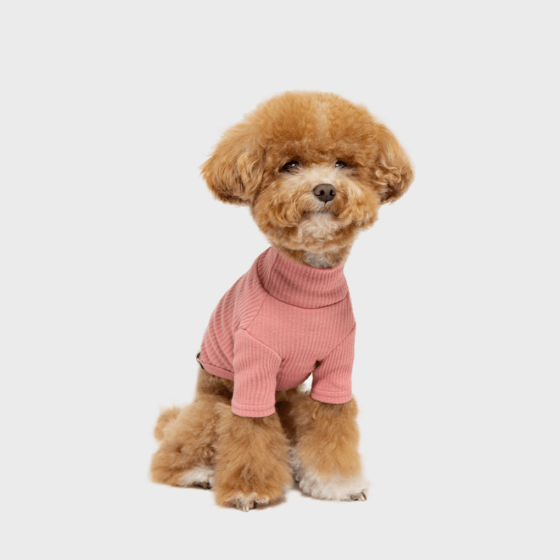 Ribbed Turtleneck Shirt - Pink Clothing Small Stuff