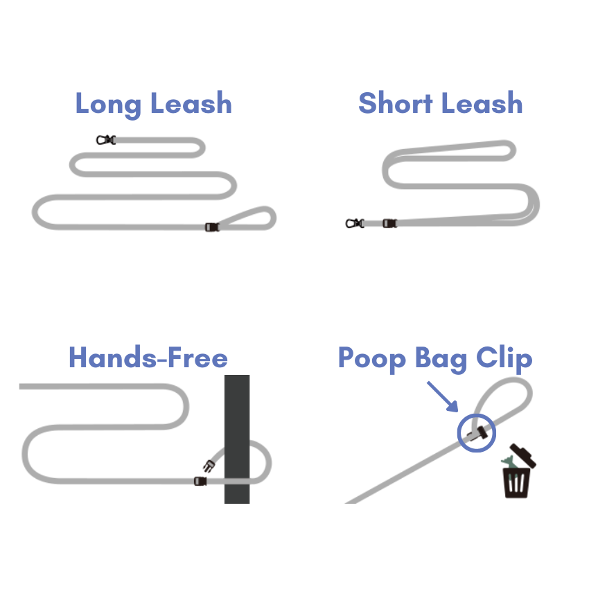 Rover Leash Leash Charlie's Backyard