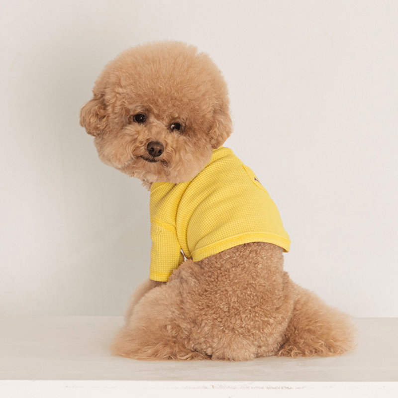 Waffle Crop Tee - Yellow Clothing Dentists Appointment