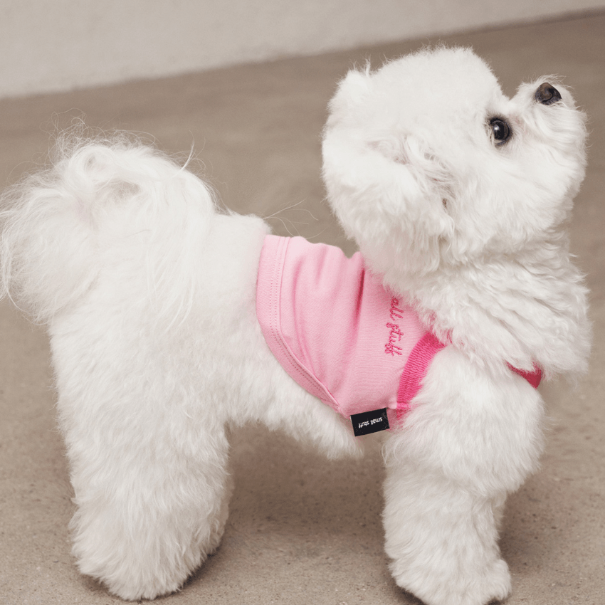 Airy Sleeveless Top - Pink Clothing Small Stuff