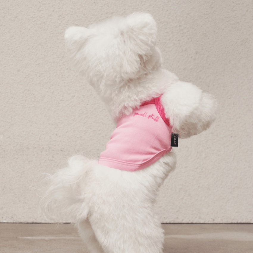 Airy Sleeveless Top - Pink Clothing Small Stuff