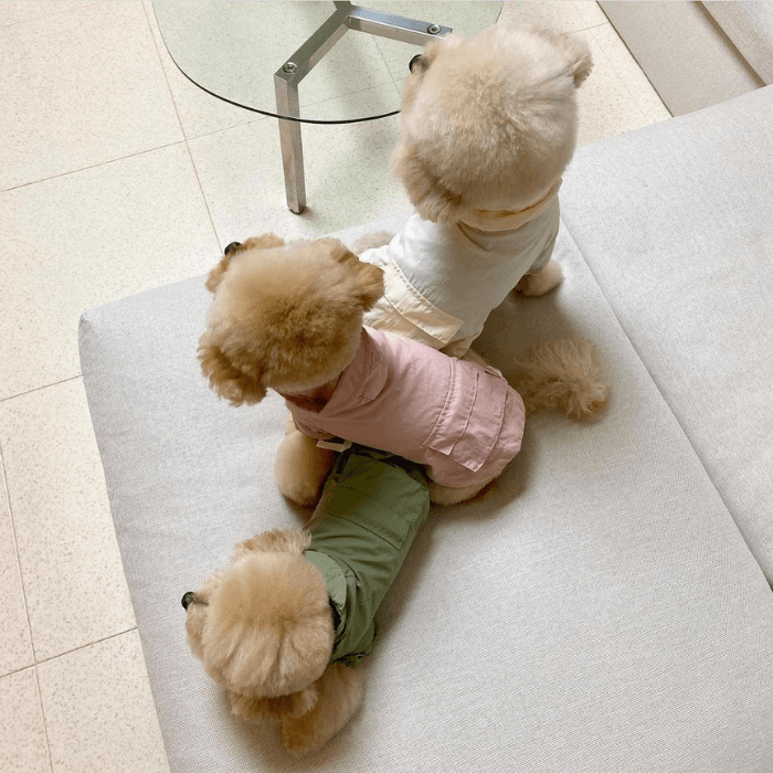 Hooded Anorak - Pink Clothing Small Stuff