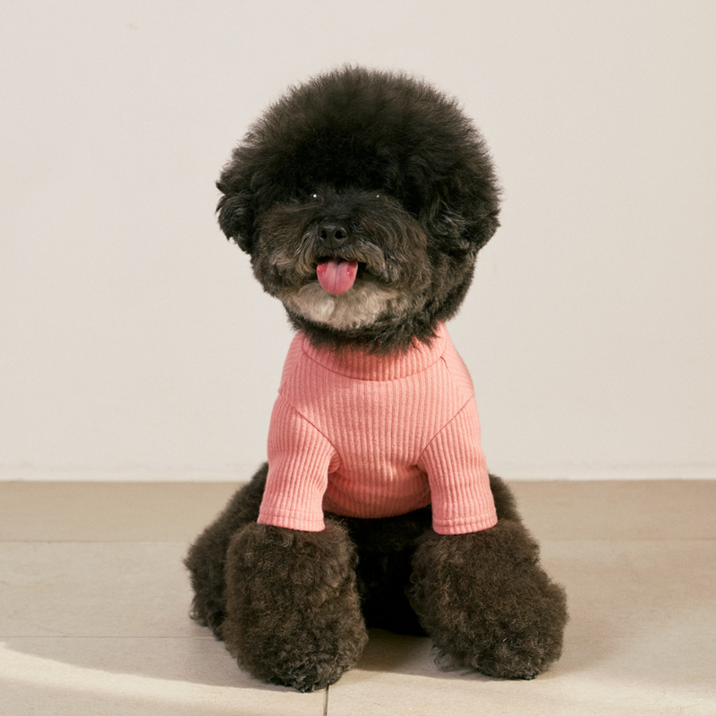 Ribbed Turtleneck Shirt - Pink Clothing Small Stuff