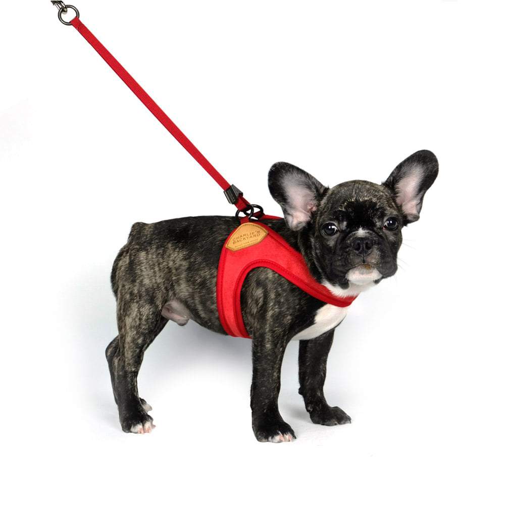 Adjustable Easy Harness - Red Harness Charlie's Backyard