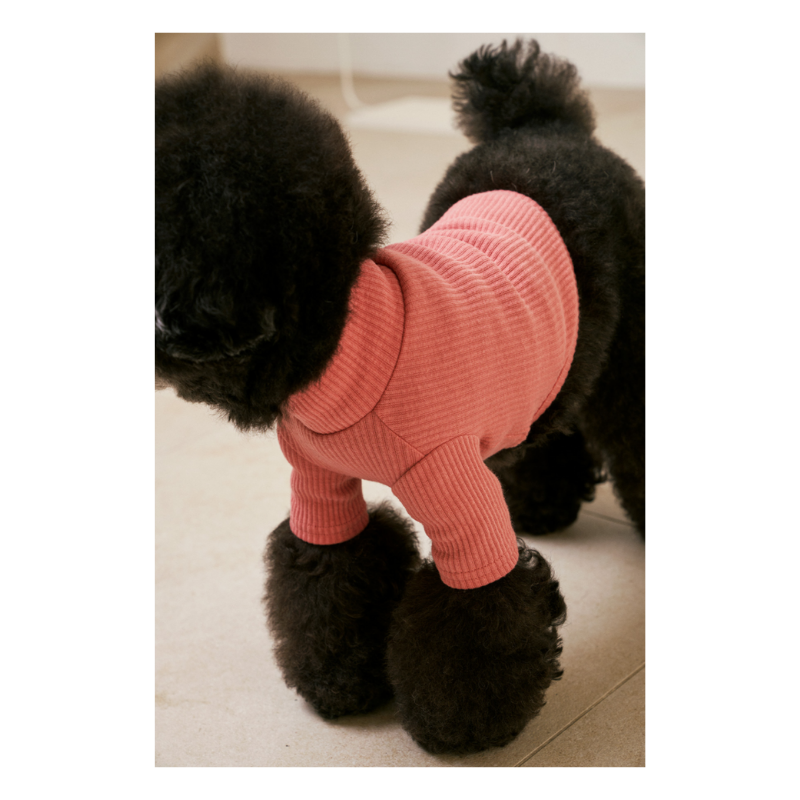 Ribbed Turtleneck Shirt - Pink Clothing Small Stuff