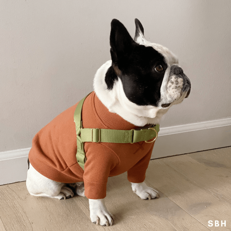 Roam Harness - Black Harness Awoo