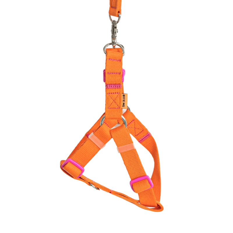 Candy Crayon Harness - Orange Harness Bite Me 