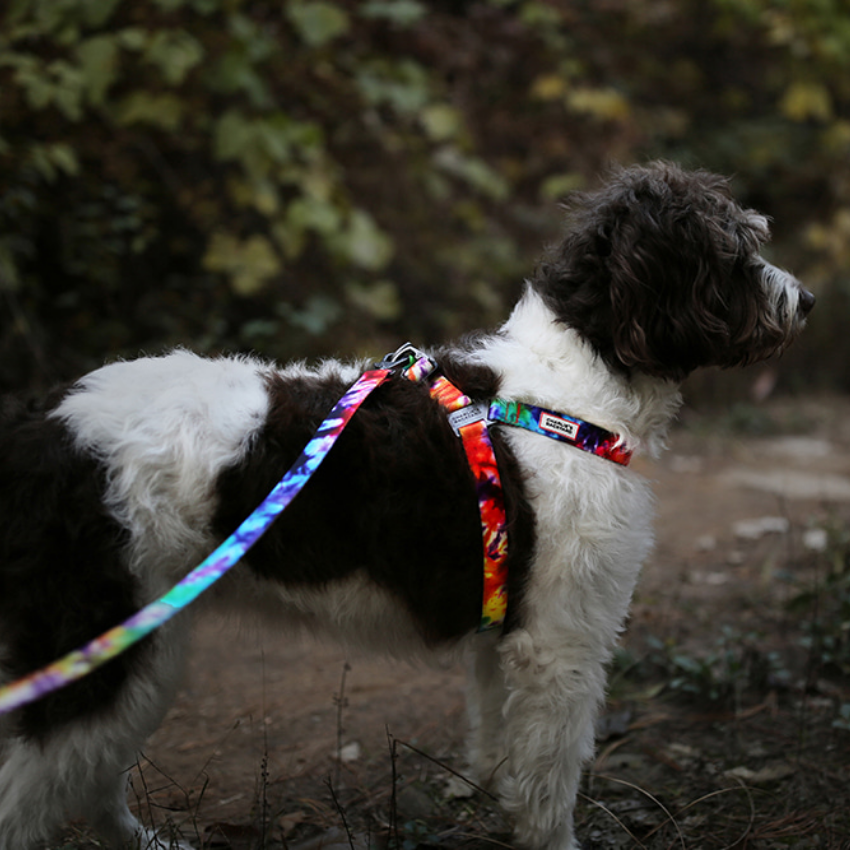 Rover Double Buckle Tie Dye Dog Harness Spotted By Humphrey