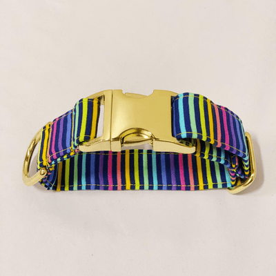 Pride Stripes Dog Collar (Matching Masks Available!) Collar Scotch & Tea
