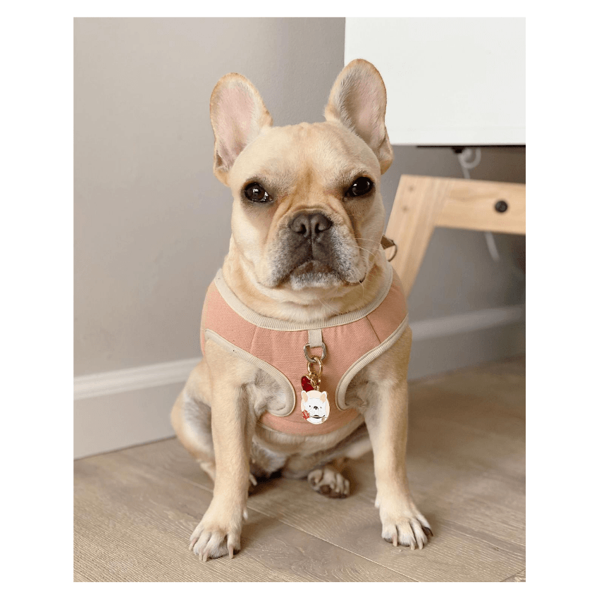 Frenchie Dog Charm