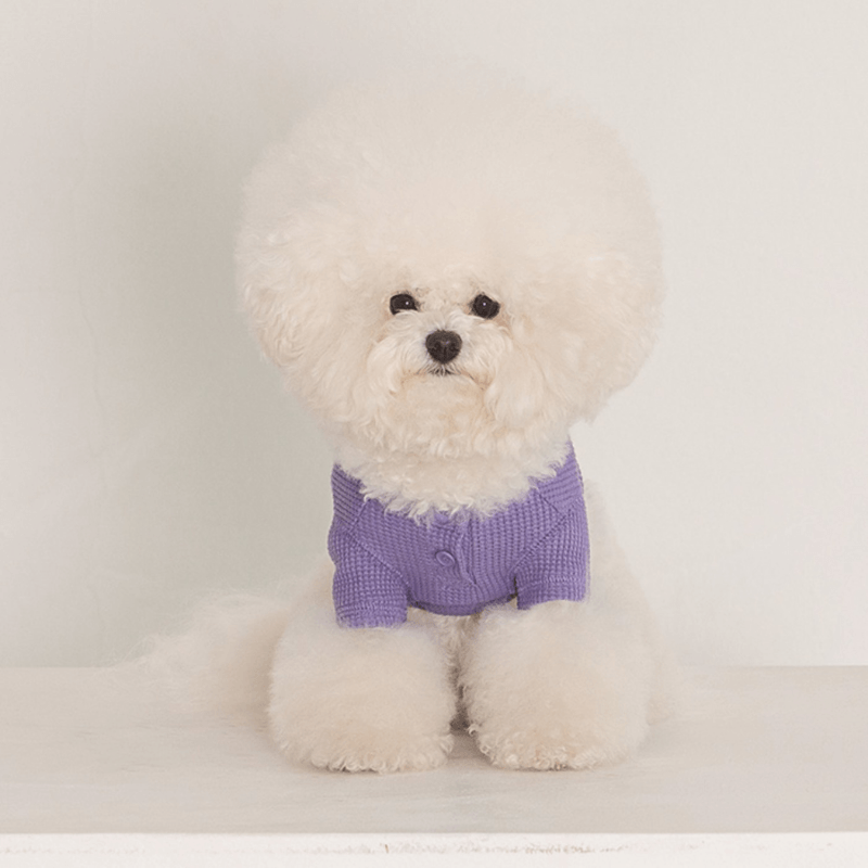 Waffle Crop Tee - Purple Clothing Dentists Appointment