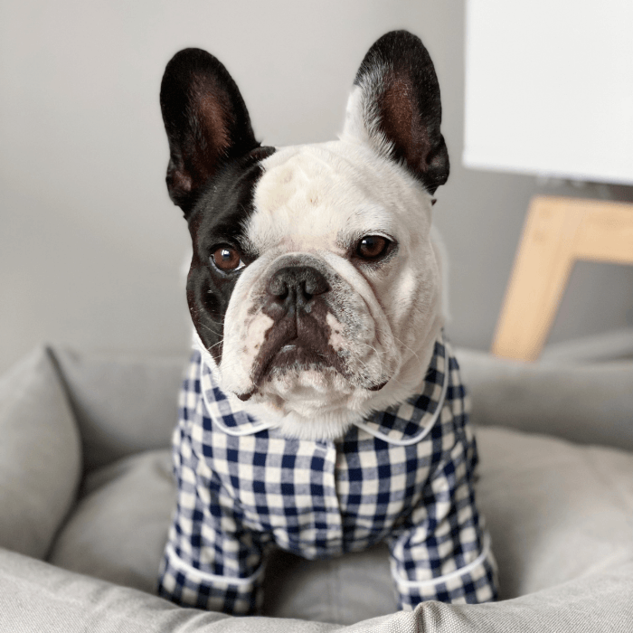 Check Pajama Shirt - Oatmeal Clothing Small Stuff