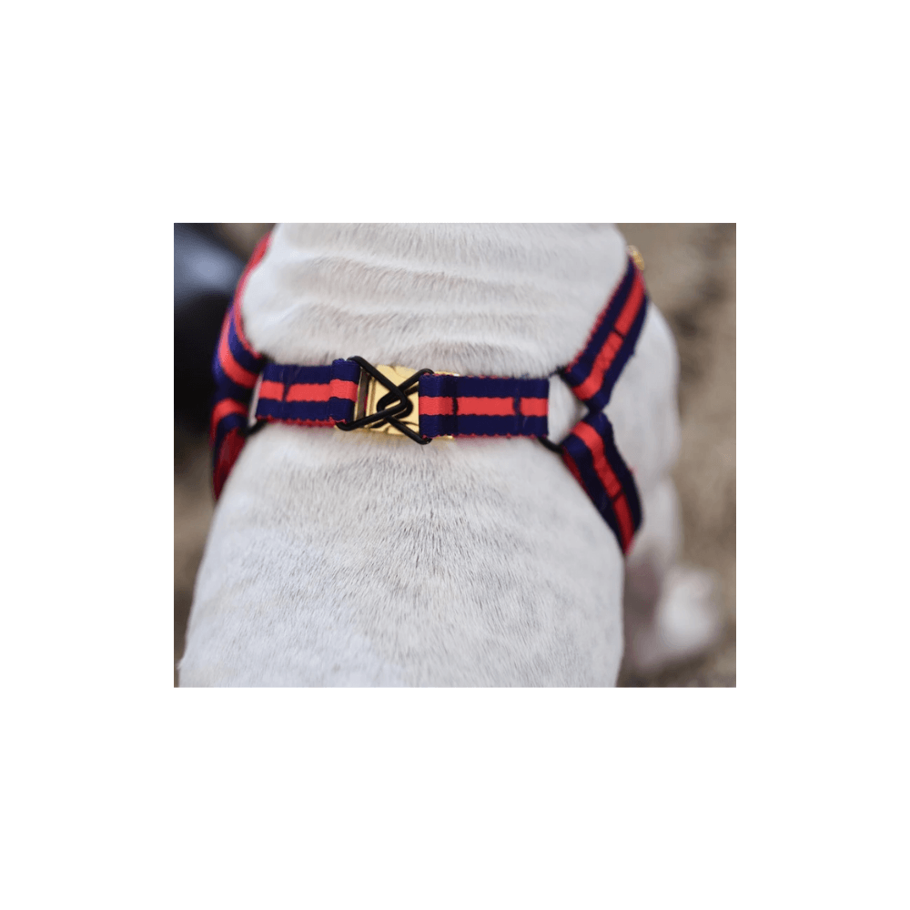 Le Classic Harness - Rue St Honore Harness Saint Rue