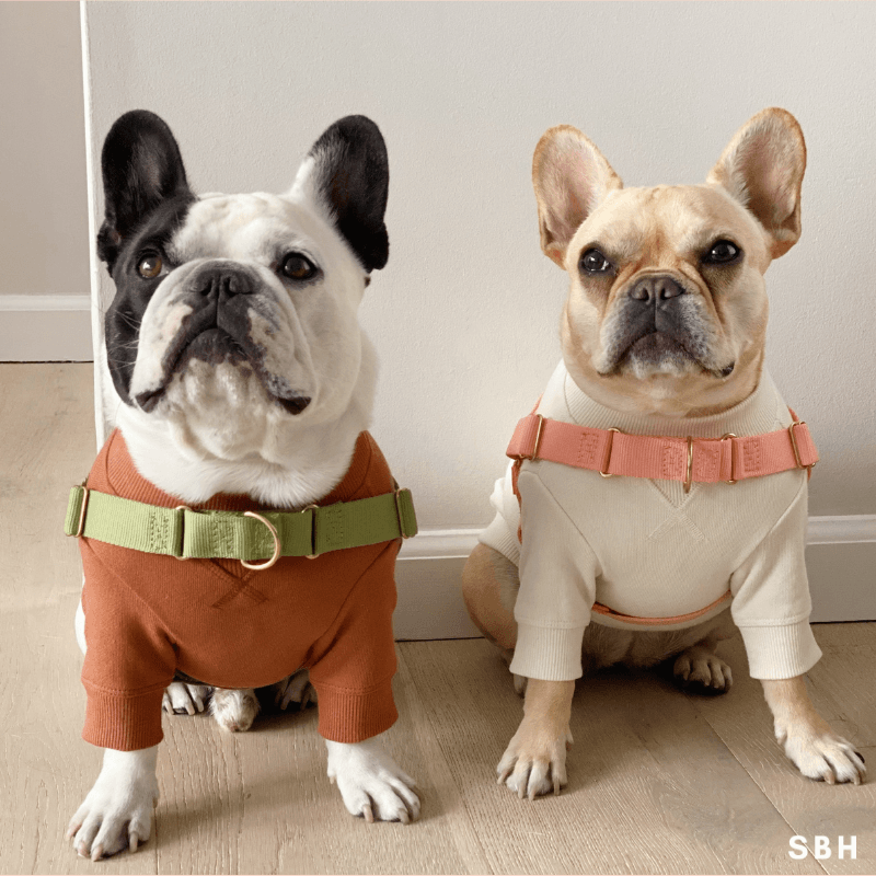 Roam Harness - Spice Harness Awoo