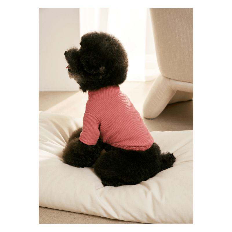 Ribbed Turtleneck Shirt - Pink Clothing Small Stuff