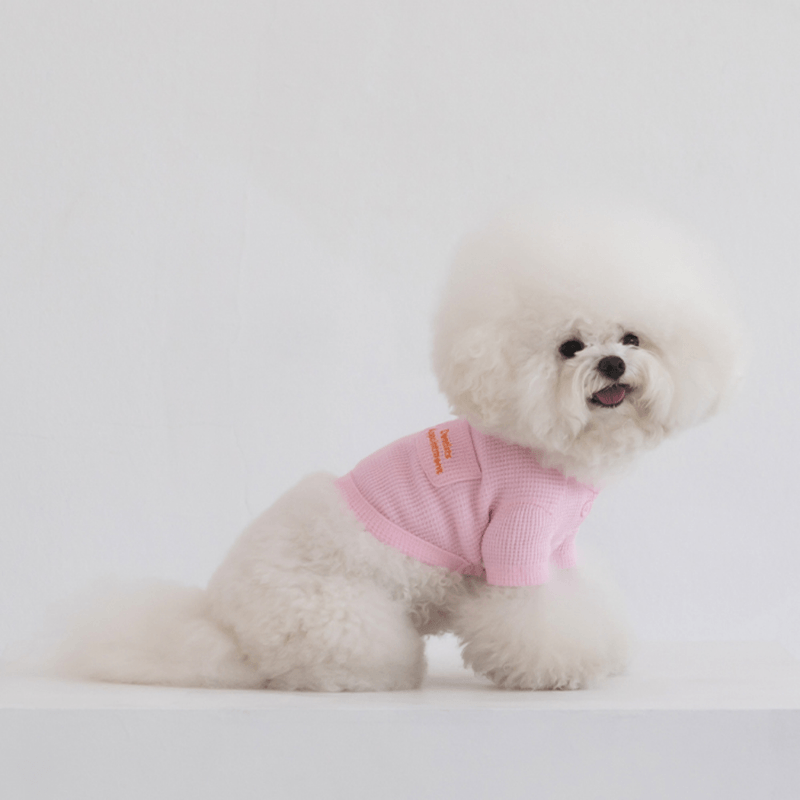 Waffle Crop Tee - Light Pink Clothing Dentists Appointment