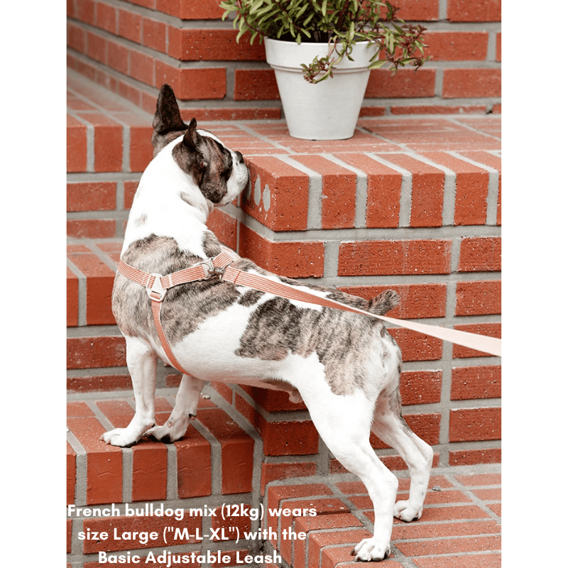 HowlGo Basic Adjustable Leash (Size Large) - Green Leash Howlpot