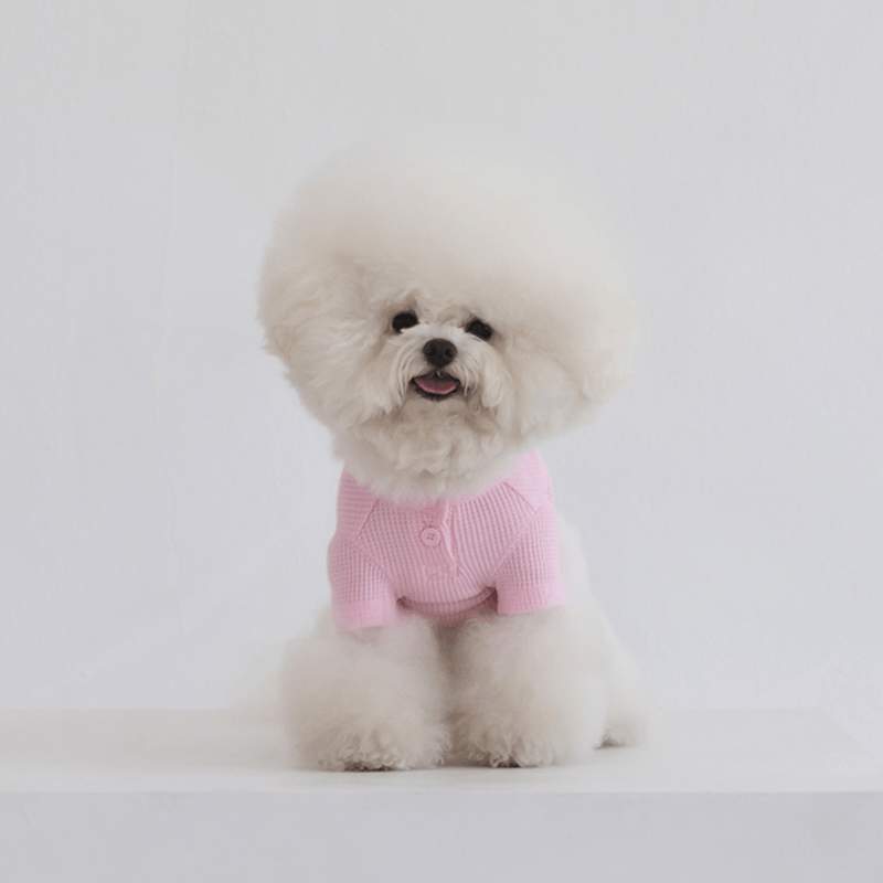 Waffle Crop Tee - Light Pink Clothing Dentists Appointment