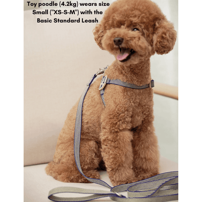 HowlGo Basic Standard Leash (Size Small) - Blue Leash Howlpot