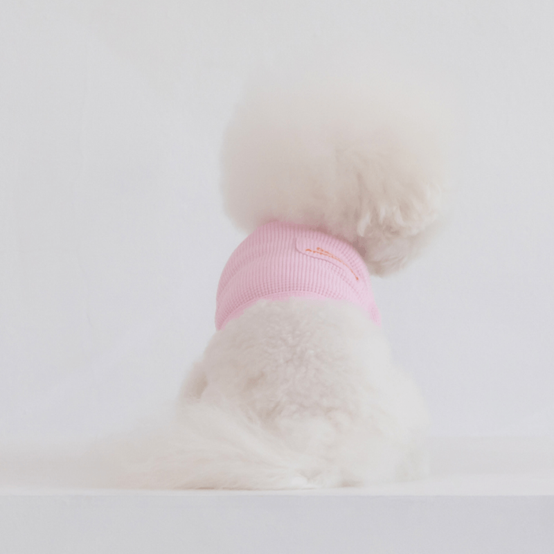 Waffle Crop Tee - Light Pink Clothing Dentists Appointment