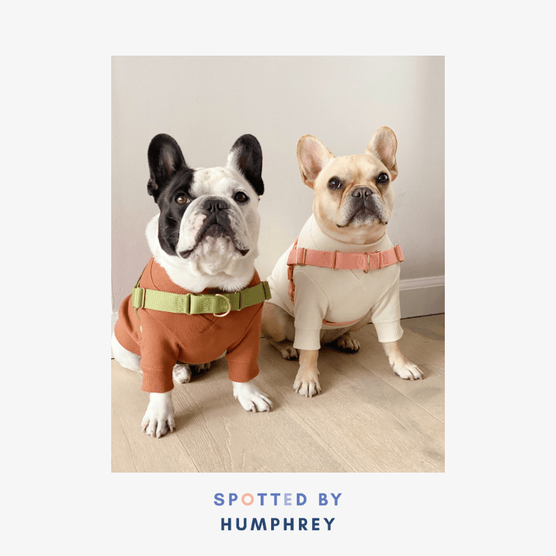 Roam Harness - Black Harness Awoo