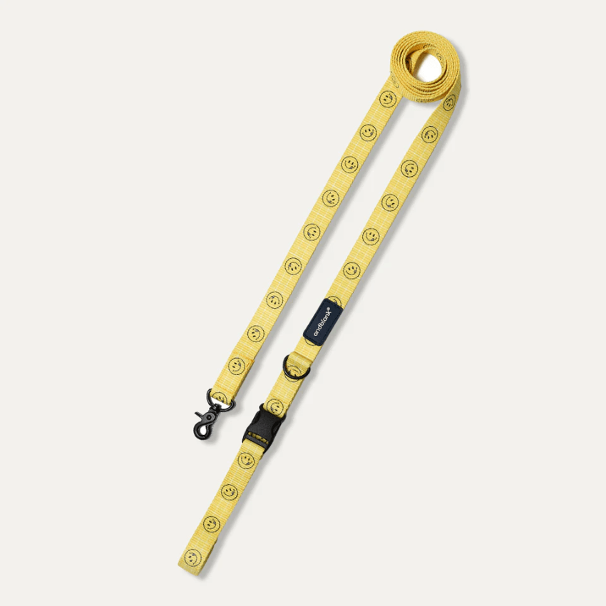 Smiley Face Dog Leash - Yellow