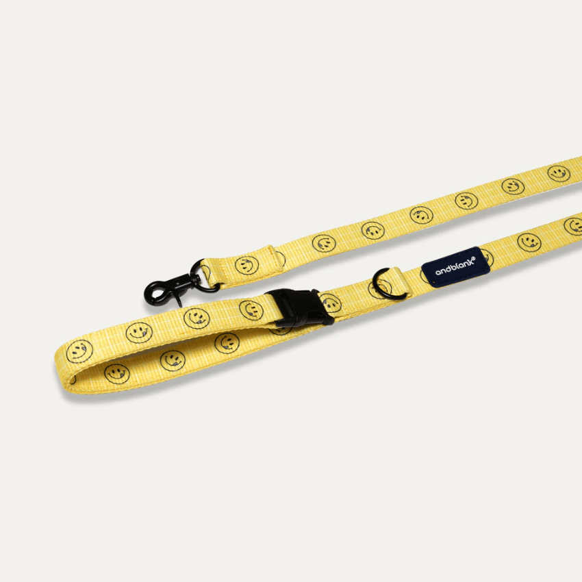 Smiley Face Dog Leash - Yellow Leash Andblank