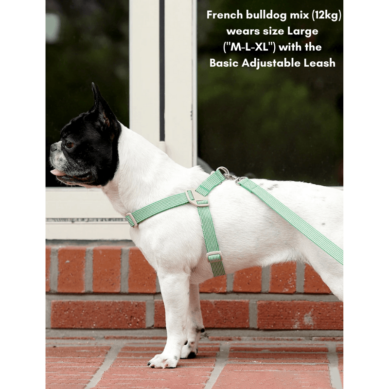 HowlGo Basic Adjustable Leash (Size Large) - Green Leash Howlpot