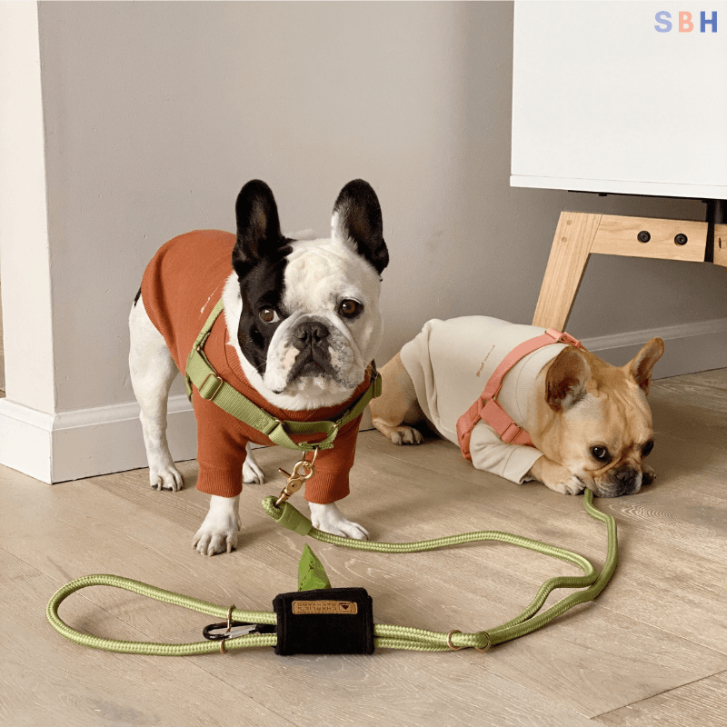 Roam Harness - Black Harness Awoo