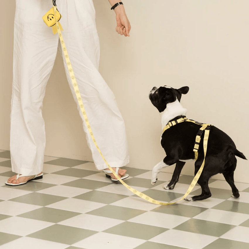Smiley Face Dog Leash - Yellow Leash Andblank
