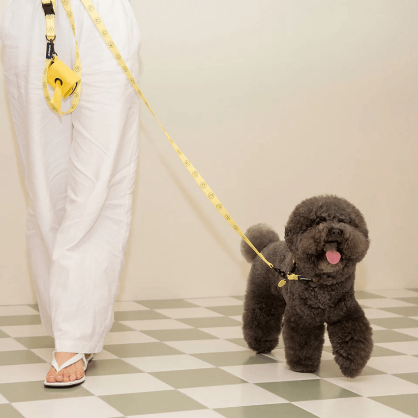 Smiley Face Dog Leash - Yellow Leash Andblank