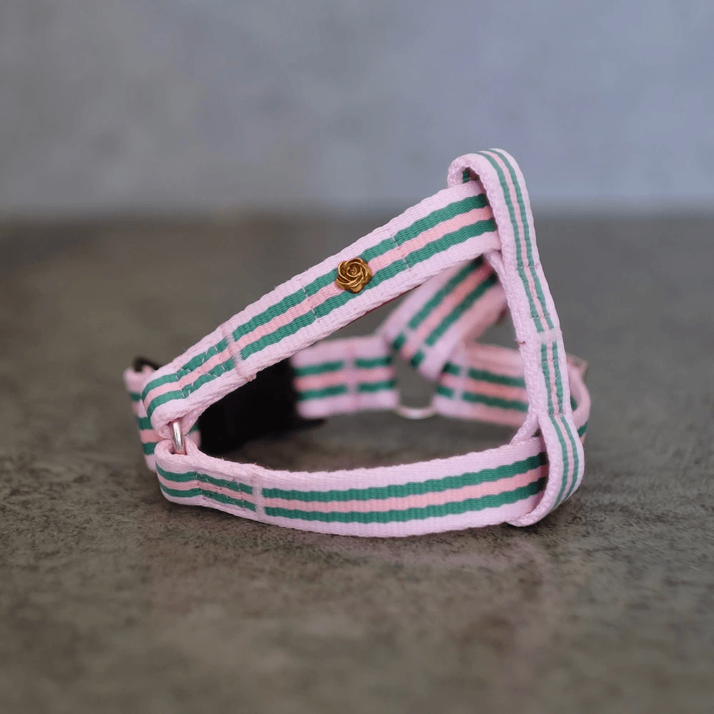 Le Classic Harness - Rue La Rose Harness Saint Rue