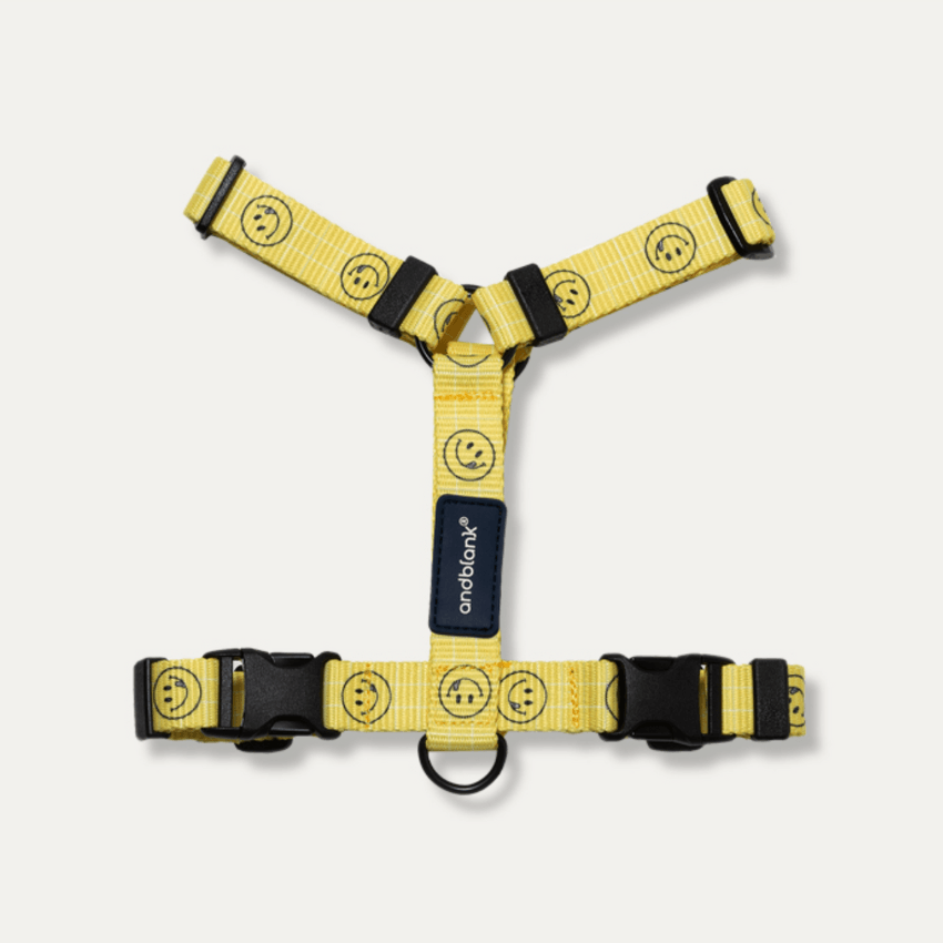 Smiley Face Dog Harness - Yellow