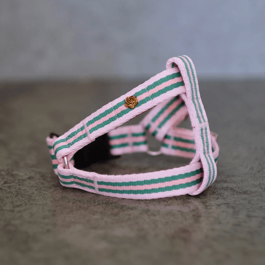 Le Classic Harness - Rue La Rose Harness Saint Rue 